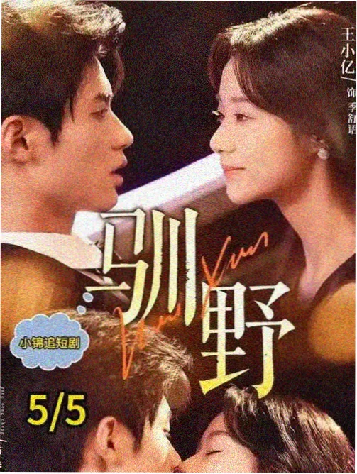 古装权谋剧空城计中计封面